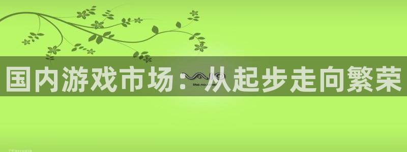 蓝图娱乐注册平台登录不了：国内游戏市场：从起步走向繁荣