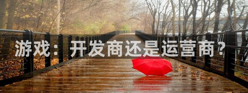 蓝图娱乐官网子酒业：游戏：开发商还是运营商？