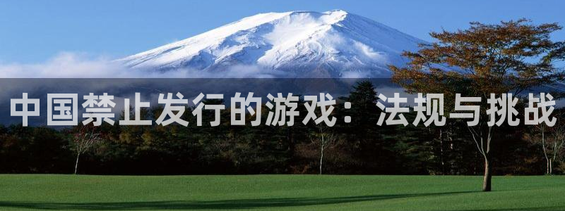 蓝图娱乐官网品牌策划团队介绍