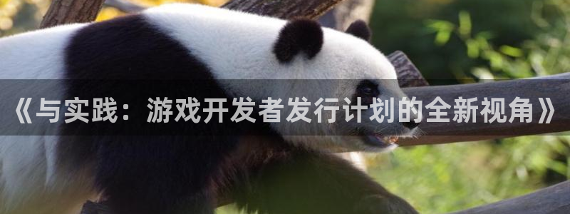 蓝图娱乐客服服务电话号码：《与实践：游戏开发者发行计划的全新视角》