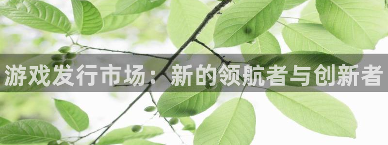蓝图娱乐注册平台登录不了