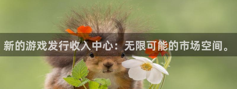 广州蓝图娱乐官网网络科技有限公司招聘