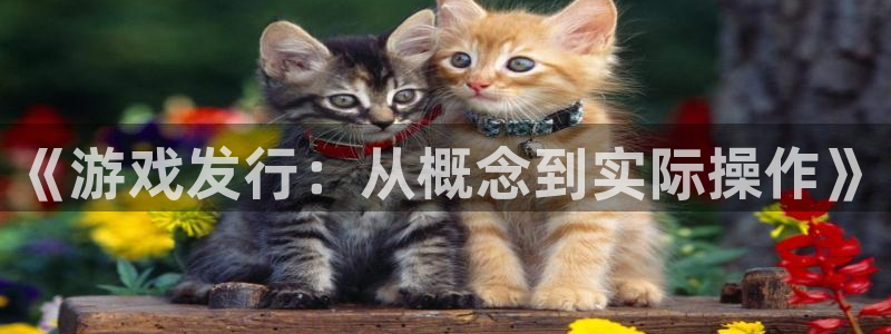 蓝图娱乐的奇趣腾讯是真的吗吗：《游戏发行：从概念到实际操作》