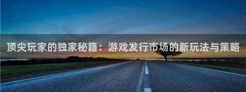 蓝图娱乐是赌博么：顶尖玩家的独家秘籍：游戏发行市场的新玩法与策略