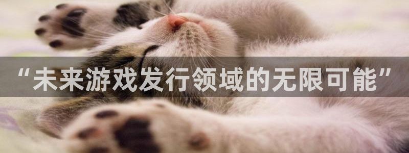 蓝图娱乐官网涂料怎么样：“未来游戏发行领域的无限可能”